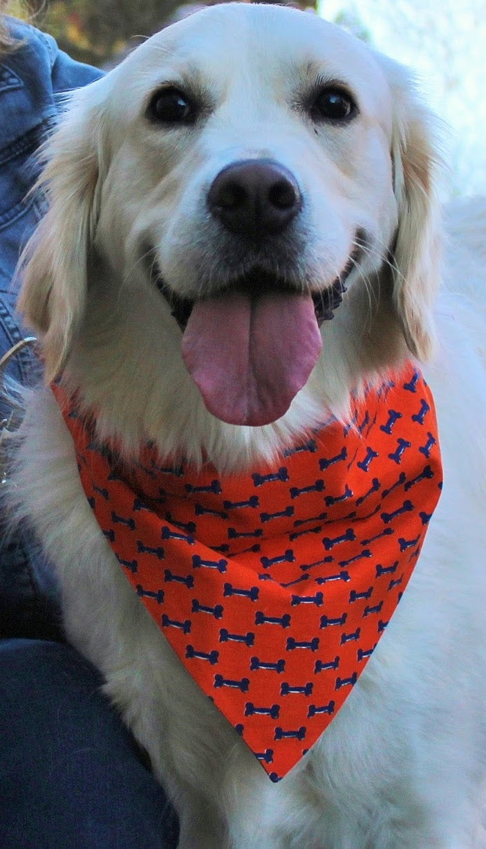 Clip-On Bandana for Dogs