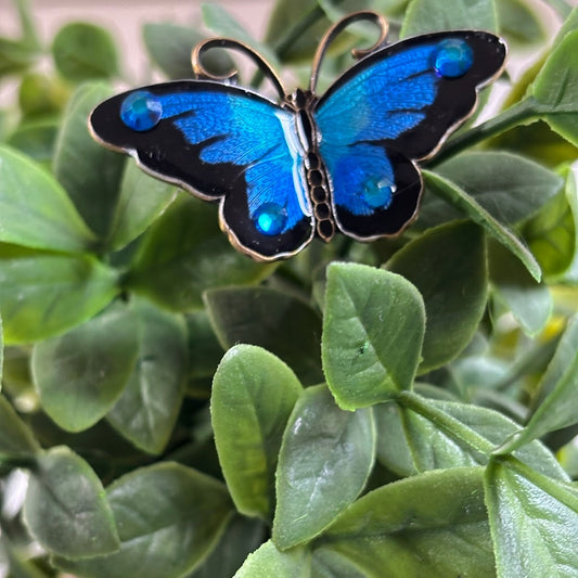 Blue Broach - Butterfly